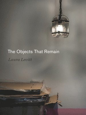 The Objects That Remain 1