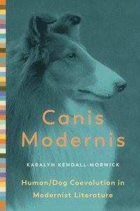 bokomslag Canis Modernis