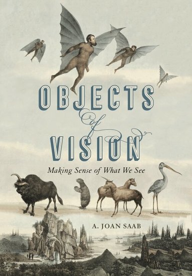 A. Joan Saab - Objects of Vision, Inbunden