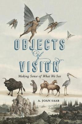 Objects of Vision 1