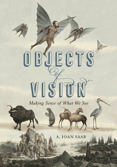 A. Joan Saab - Objects of Vision, Häftad