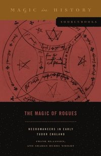 bokomslag The Magic of Rogues