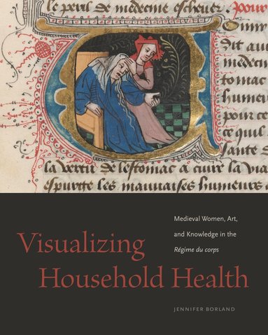 bokomslag Visualizing Household Health
