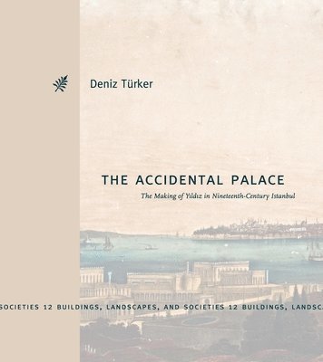 The Accidental Palace 1