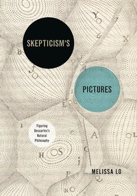 bokomslag Skepticism's Pictures