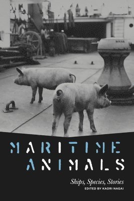 Maritime Animals 1