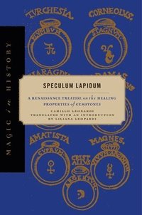 bokomslag Speculum Lapidum