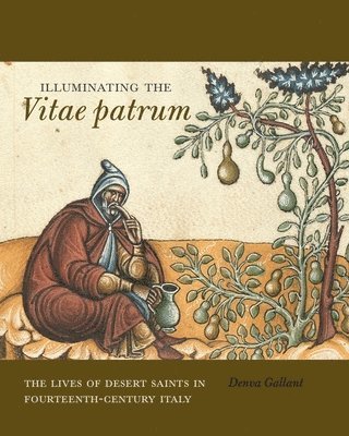 bokomslag Illuminating the Vitae patrum