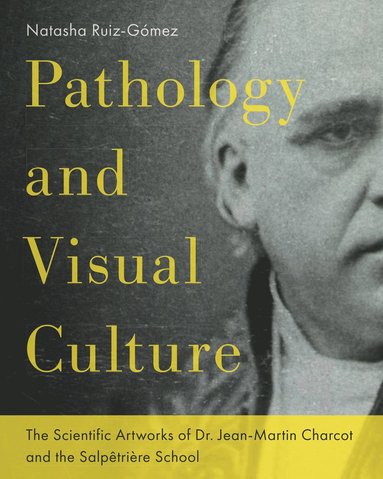 bokomslag Pathology and Visual¿Culture