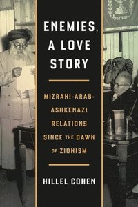 bokomslag Enemies, a Love Story