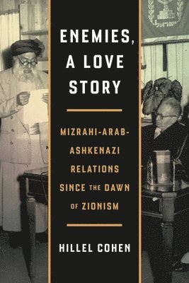 bokomslag Enemies, a Love Story
