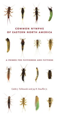 bokomslag Common Nymphs of Eastern North America