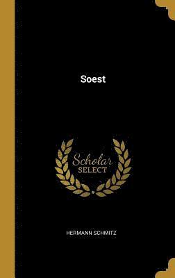 bokomslag Soest