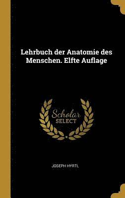 Lehrbuch Der Anatomie Des Menschen. Elfte Auflage 1