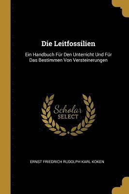 Die Leitfossilien 1