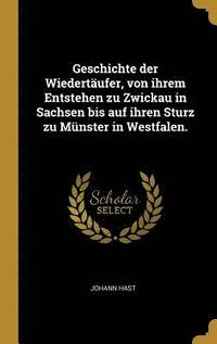 bokomslag Geschichte Der Wiedert ufer, Von Ihrem Entstehen Zu Zwickau in Sachsen Bis Auf Ihren Sturz Zu M nster in Westfalen.