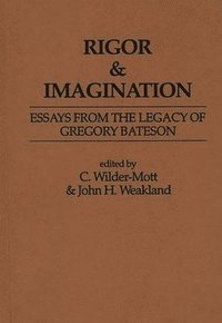 bokomslag Rigor & Imagination