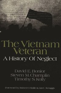 bokomslag The Vietnam Veteran