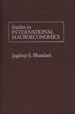 bokomslag Studies in International Macroeconomics