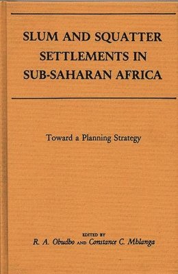 bokomslag Slum and Squatter Settlements in Sub-Saharan Africa