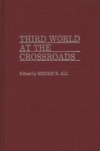 bokomslag Third World at the Crossroads