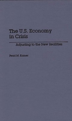 Pearl Kamer, Pearl M. Kamer - U.S. Economy in Crisis, Inbunden