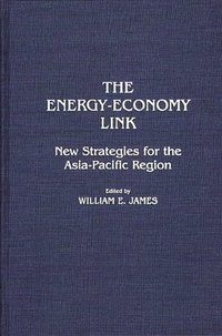 bokomslag The Energy-Economy Link