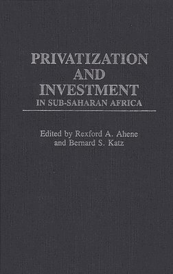 Rexford A. Ahene - Privatization and Investment in Sub-Saharan Africa, Inbunden