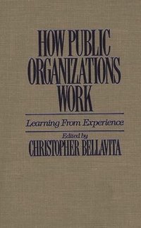 bokomslag How Public Organizations Work