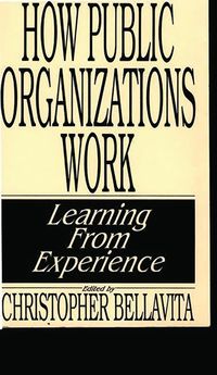 bokomslag How Public Organizations Work