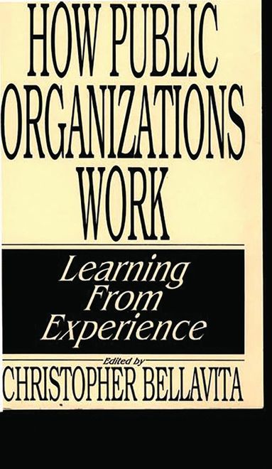 bokomslag How Public Organizations Work