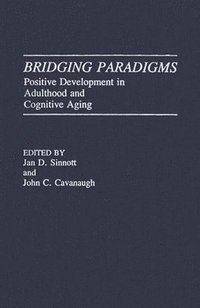 bokomslag Bridging Paradigms