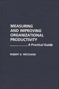 bokomslag Measuring and Improving Organizational Productivity