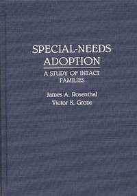 bokomslag Special-Needs Adoption