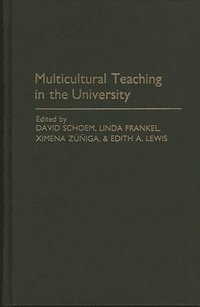 bokomslag Multicultural Teaching in the University
