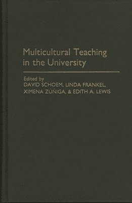 bokomslag Multicultural Teaching in the University