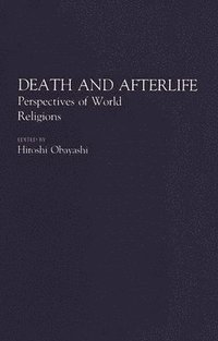 bokomslag Death and Afterlife