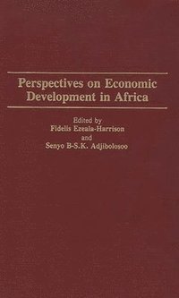 bokomslag Perspectives on Economic Development in Africa