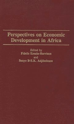 bokomslag Perspectives on Economic Development in Africa