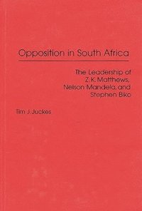 bokomslag Opposition in South Africa