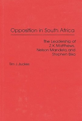 bokomslag Opposition in South Africa