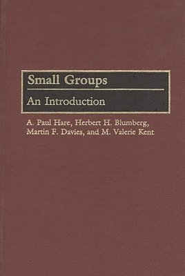 bokomslag Small Groups