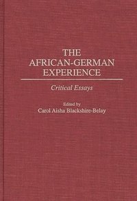 bokomslag The African-German Experience