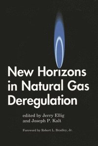 bokomslag New Horizons in Natural Gas Deregulation