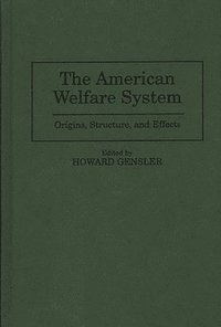 bokomslag The American Welfare System