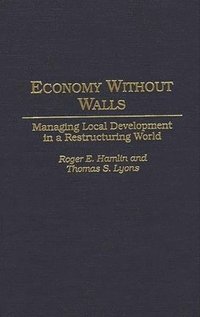 bokomslag Economy Without Walls
