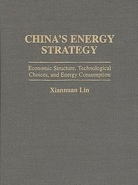 bokomslag China's Energy Strategy