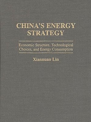 bokomslag China's Energy Strategy