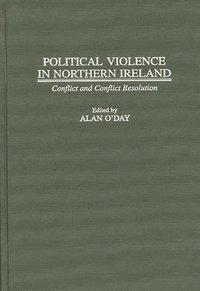 bokomslag Political Violence in Northern Ireland