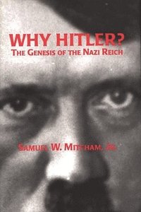 bokomslag Why Hitler?